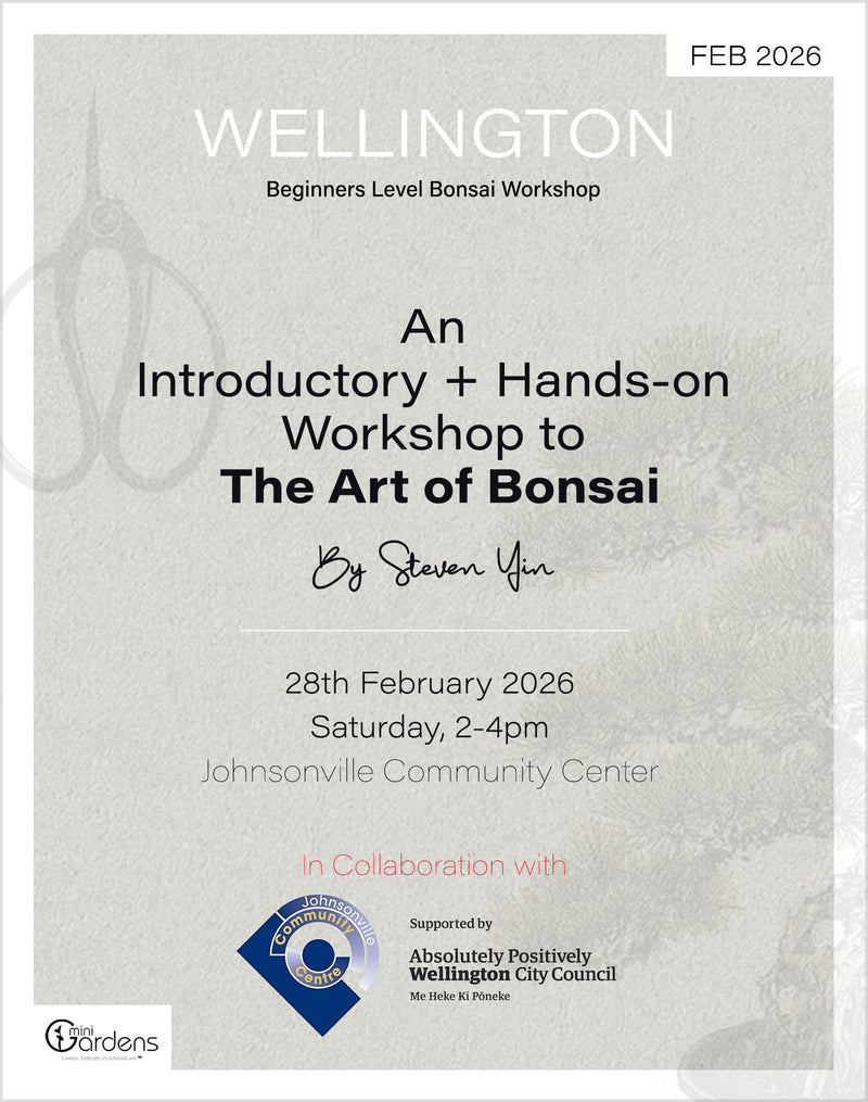 Beginners Bonsai Workshop | 28th February 2026