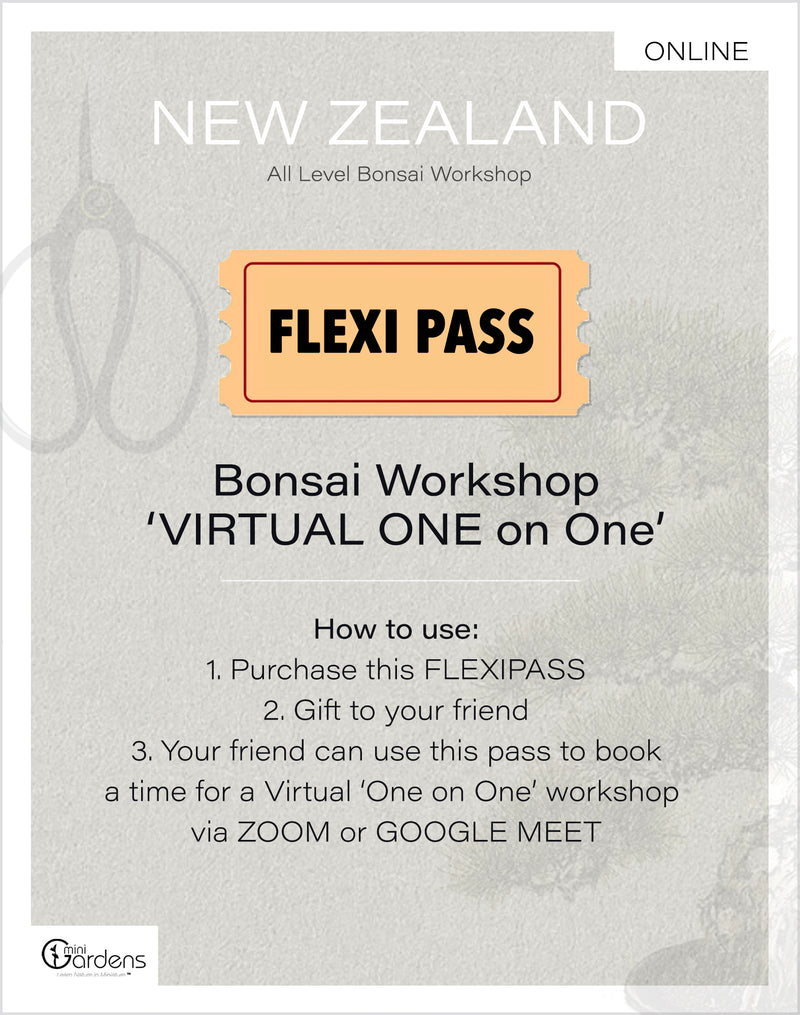 Bonsai Workshop 'VIRTUAL One on One'