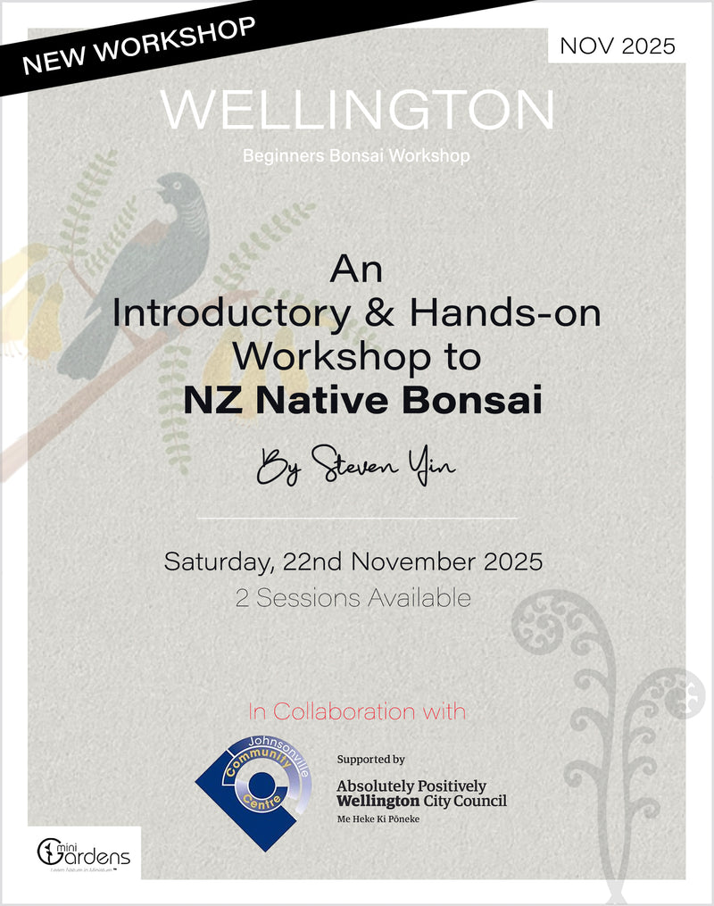 NZ NATIVE Beginners Bonsai Workshop | 22nd November 2025