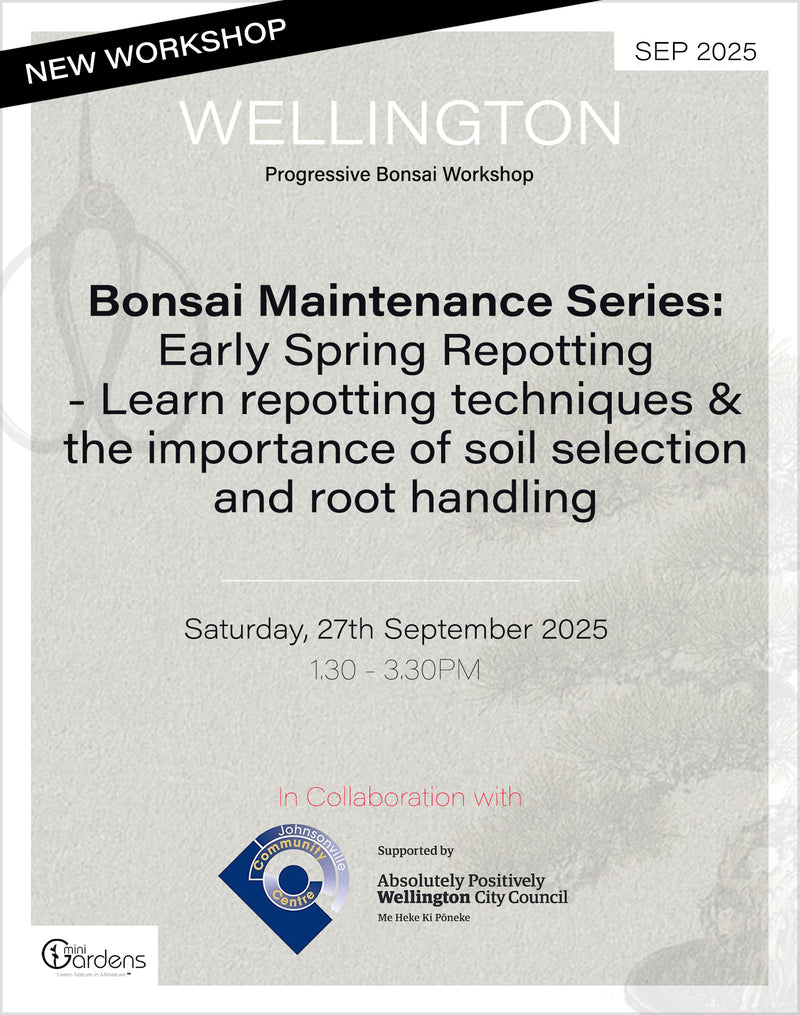 Progressive Bonsai Workshop | 27th September 2025