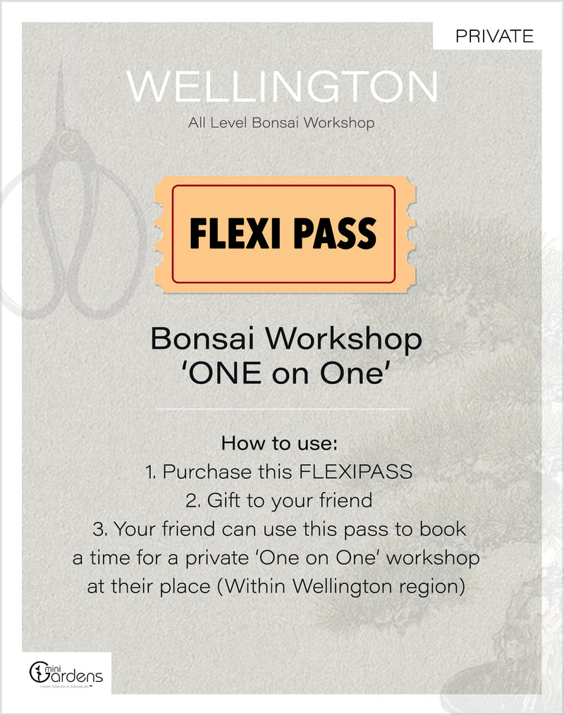 Bonsai Workshop 'One on One'