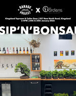 SIP & BONSAI Beginners Workshop | 24th & 25th Jan 2026
