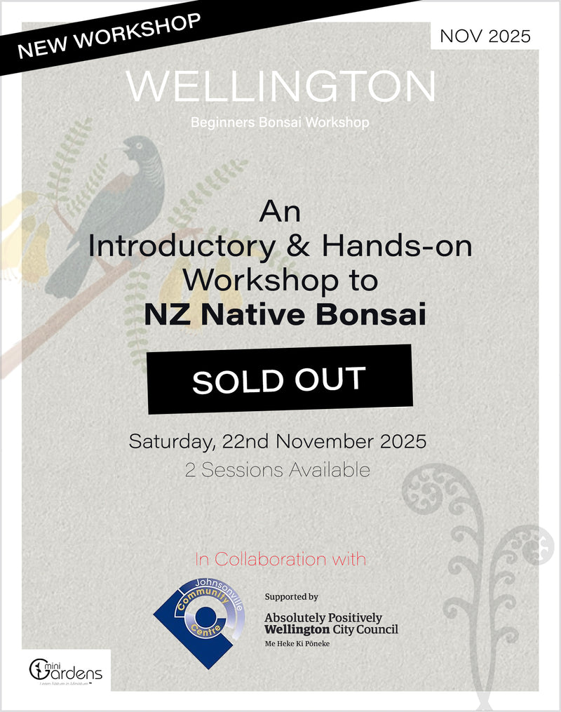 NZ NATIVE Beginners Bonsai Workshop | 22nd November 2025