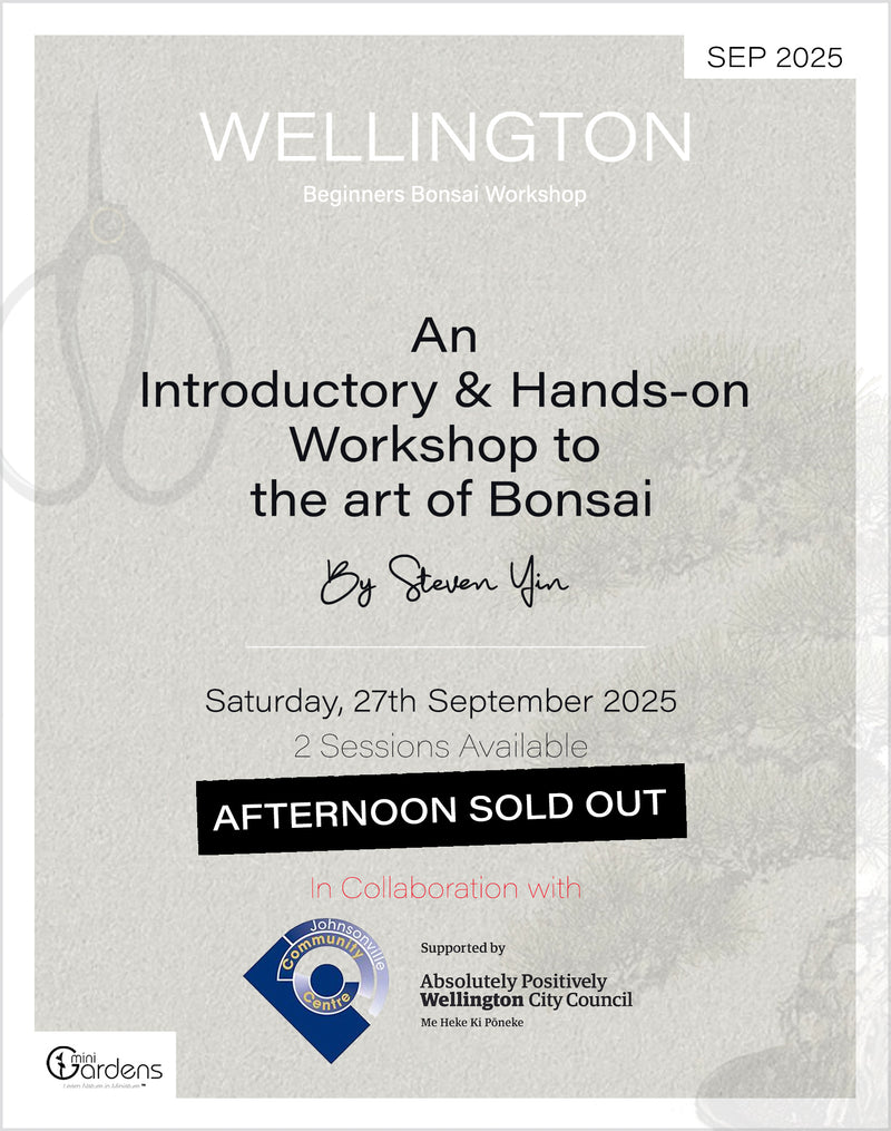 Beginners Bonsai Workshop | 27th September 2025