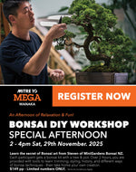 Beginners Bonsai Workshop | 29th November 2025
