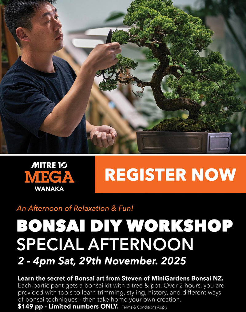 Beginners Bonsai Workshop | 29th November 2025