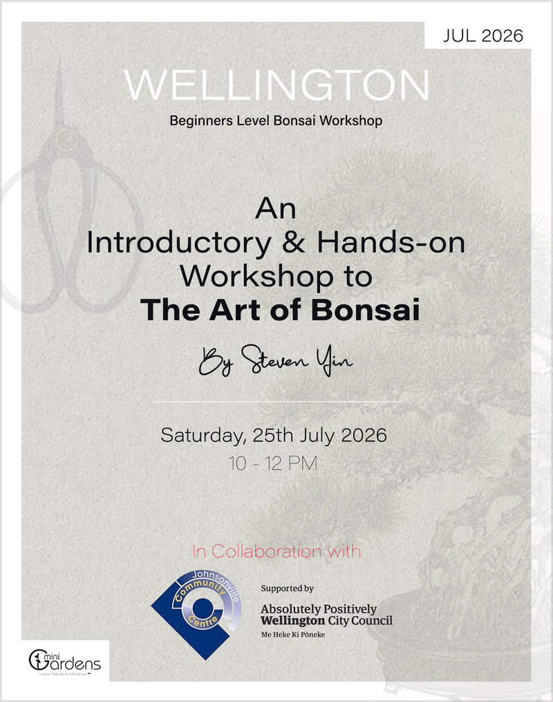Beginners Bonsai Workshop | 25th July 2026 - MiniGardens Bonsai New Zealand
