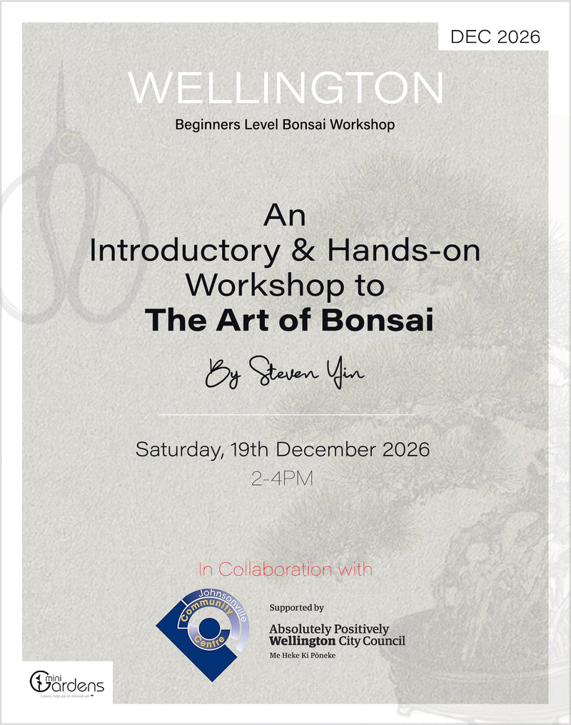Beginners Bonsai Workshop | 19th December 2026