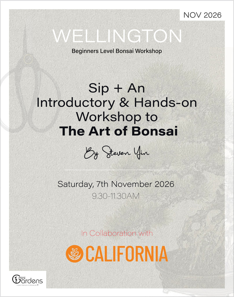 SIP + Beginners Bonsai Workshop | 7th November 2026