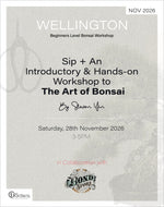 Sip & Bonsai Beginners Workshop | 28th Nov 2026