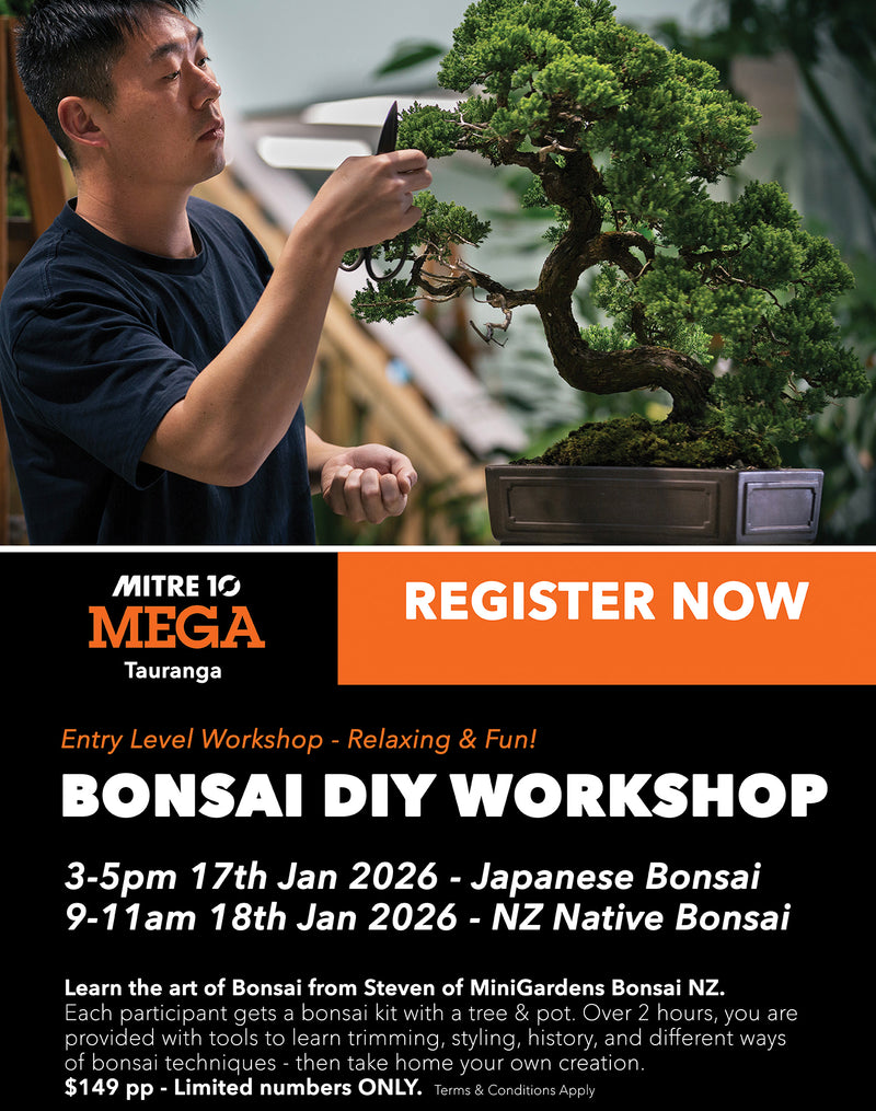 Beginners Bonsai Workshop | 17&18th Jan 2026