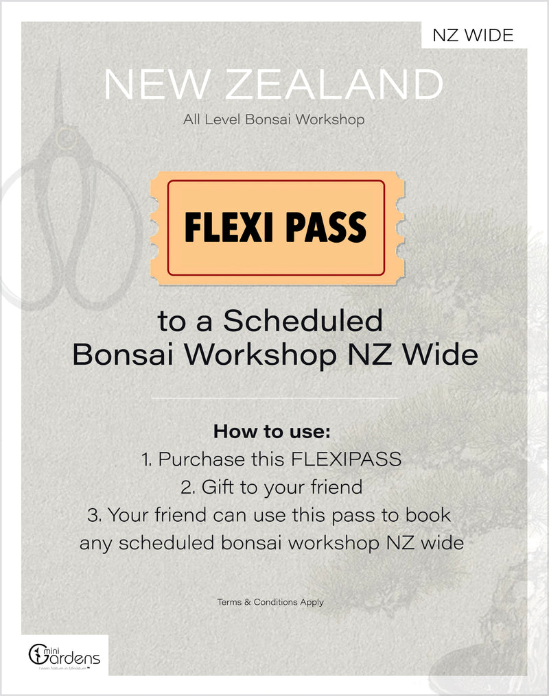Bonsai Workshop FLEXIPASS (Select your options) - MiniGardens Bonsai New Zealand