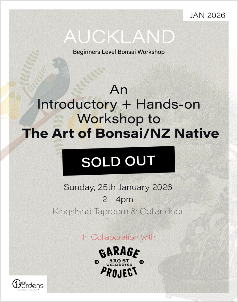 SIP & BONSAI Beginners Workshop | 24th & 25th Jan 2026