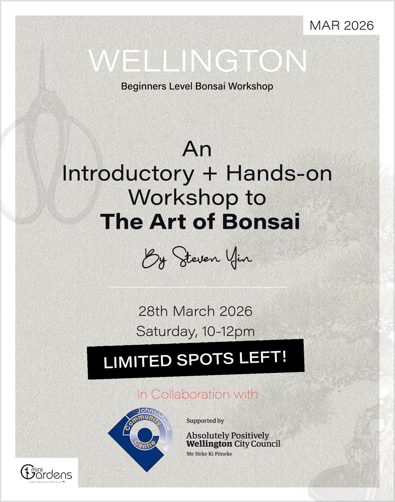 Beginners Bonsai Workshop | 28th March 2026 - MiniGardens Bonsai New Zealand