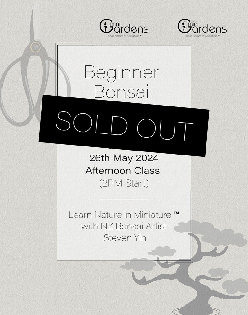 Beginners Bonsai Workshop | 26th May 2024 (Afternoon Class)