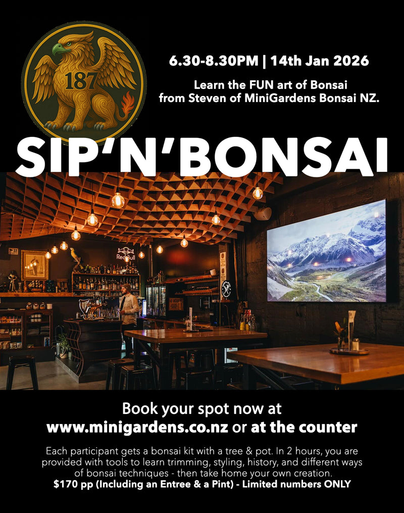 SIP & BONSAI Evening Workshop | 14th Jan 2026