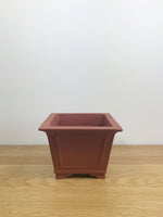 CUBIC - MiniGardens NZ