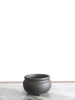 PP_001 - MiniGardens NZ