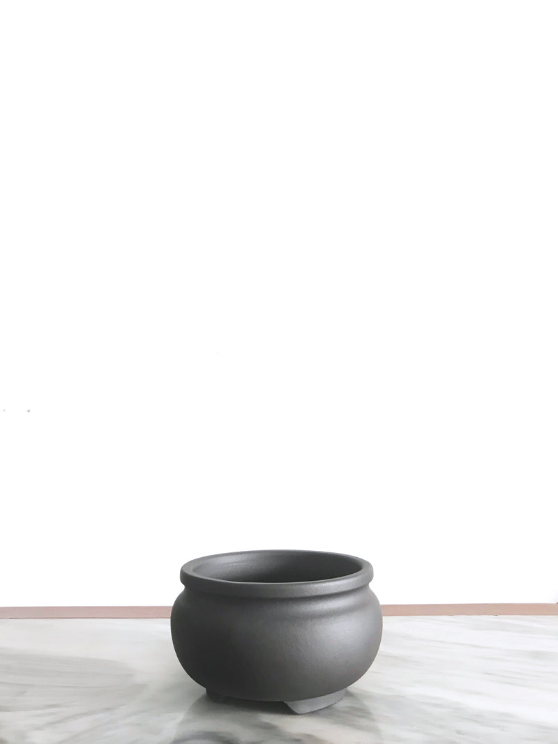 PP_001 - MiniGardens NZ