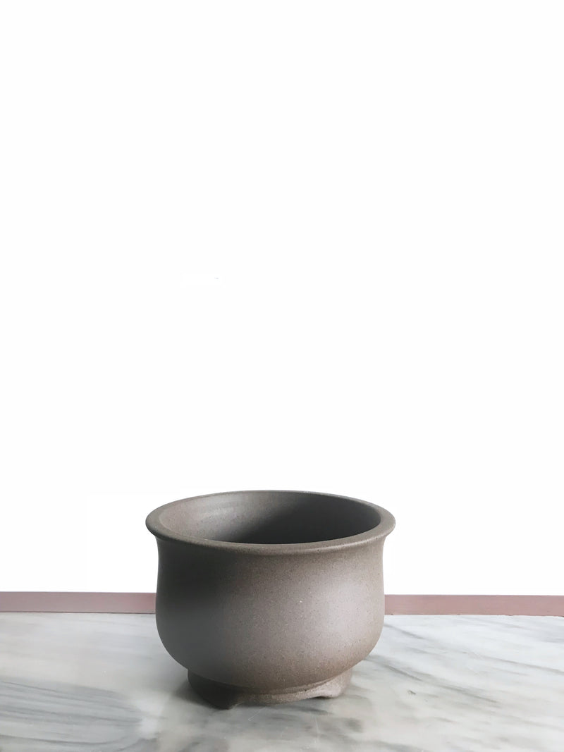 PP_005 - MiniGardens NZ