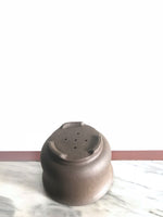 PP_005 - MiniGardens NZ