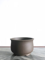 PP_006 - MiniGardens NZ