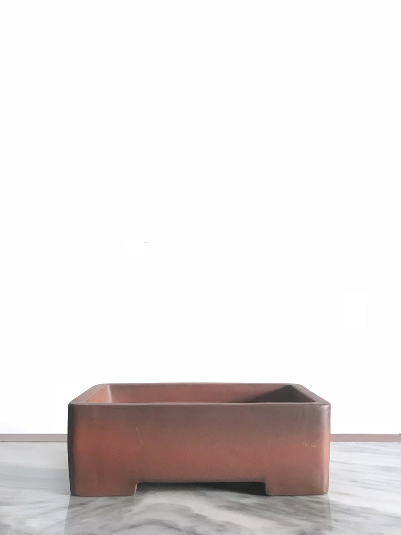 PP_007 - MiniGardens NZ