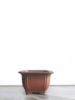 PP_008 - MiniGardens NZ