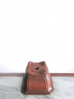 PP_008 - MiniGardens NZ