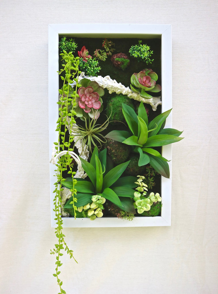 live succulent picture frame SUCCULENTS FRAME #3 – MiniGardens Bonsai NZ