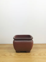 STOCKY - MiniGardens NZ