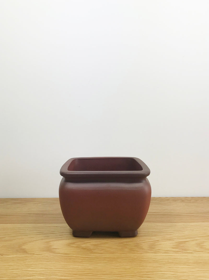 STOCKY - MiniGardens NZ