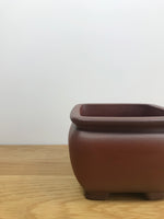 STOCKY - MiniGardens NZ