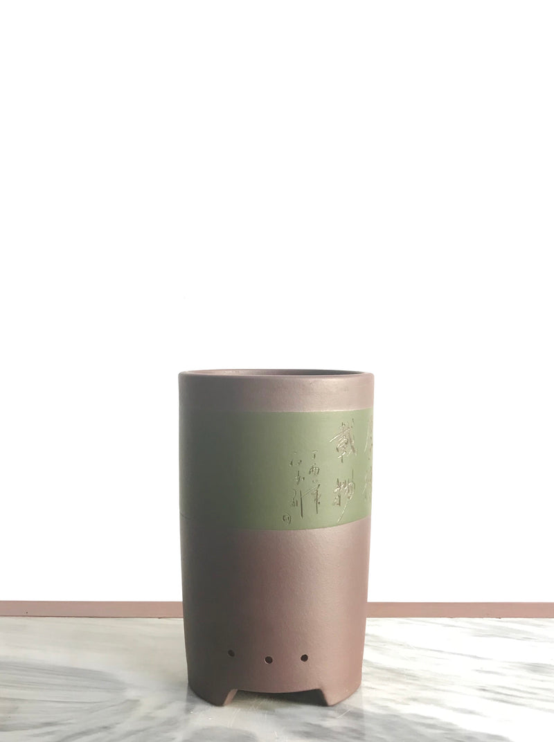 PP_010 - MiniGardens NZ