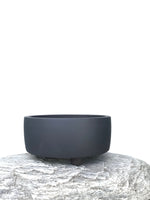 PANTHER - MiniGardens NZ