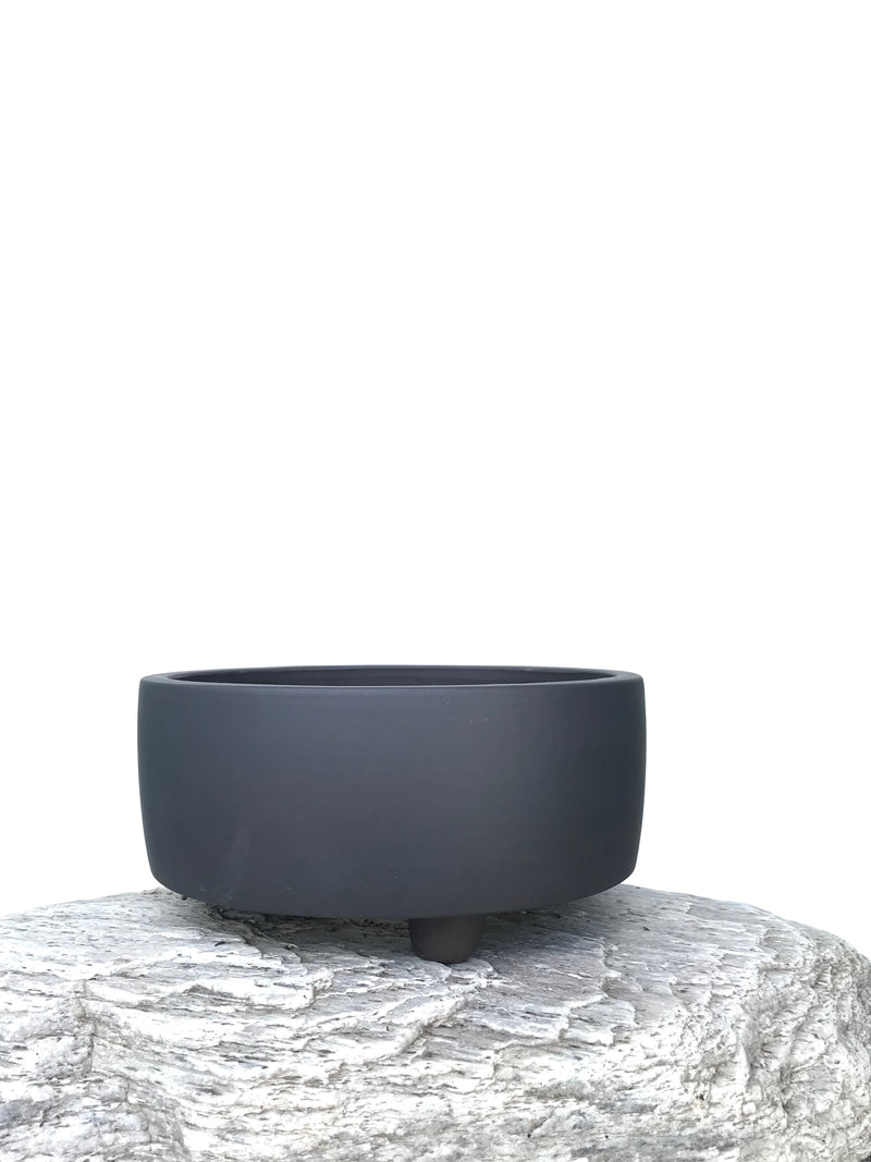 PANTHER - MiniGardens NZ