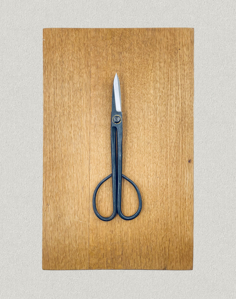 Pruning Scissors