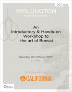 Beginners Bonsai Workshop | 4th October 2025