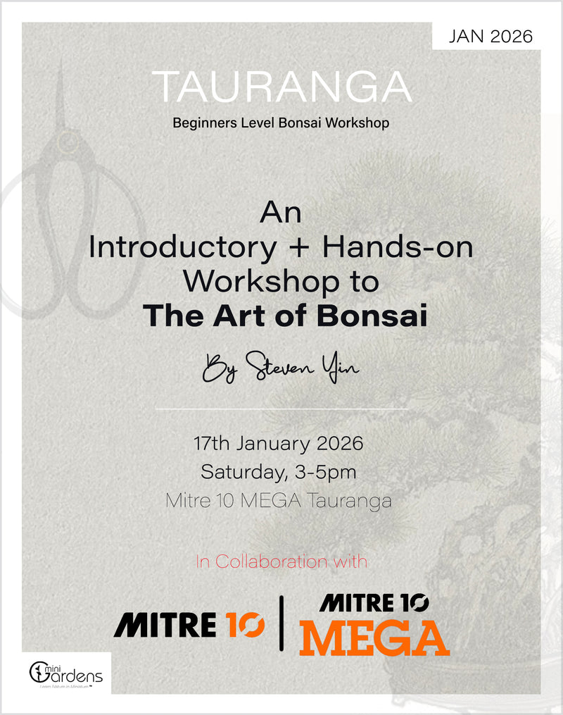 Beginners Bonsai Workshop | 17th Jan 2026
