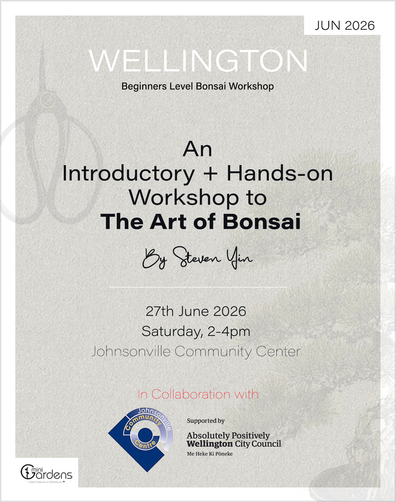 Beginners Bonsai Workshop | 27th June 2026