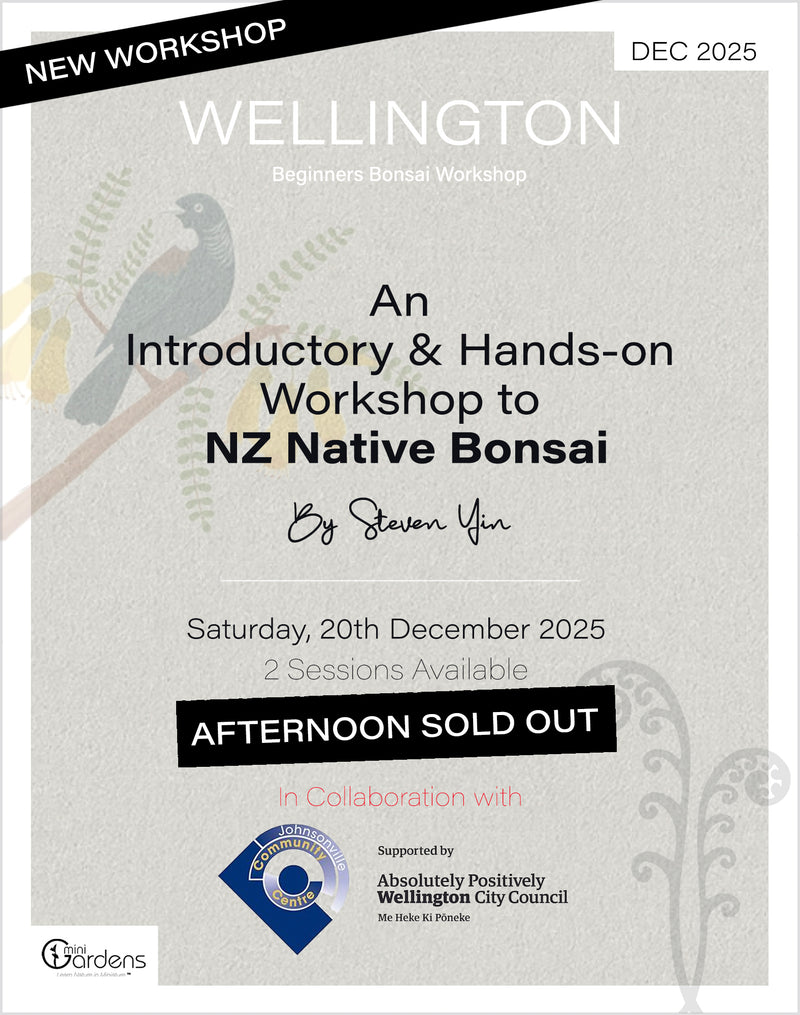 NZ NATIVE Beginners Bonsai Workshop | 20th December 2025
