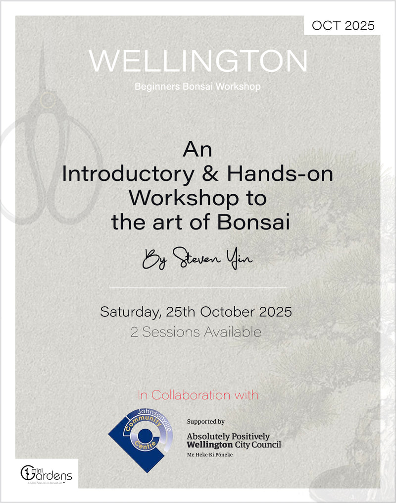 Beginners Bonsai Workshop | 25th October 2025