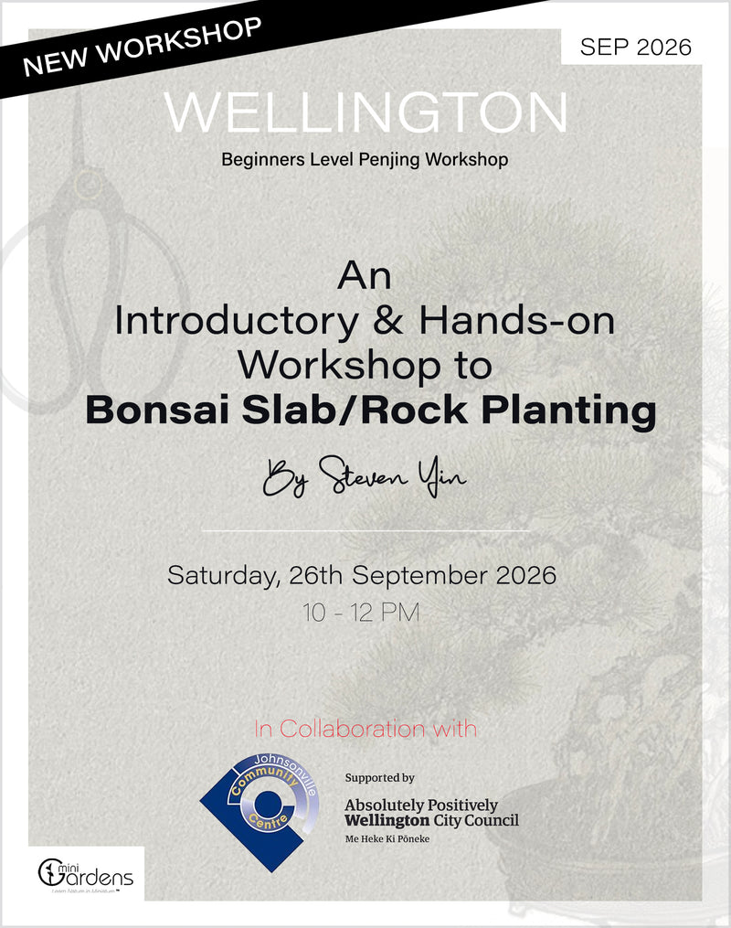 Bonsai Slab Planting Workshop | 26th September 2026 - MiniGardens Bonsai New Zealand
