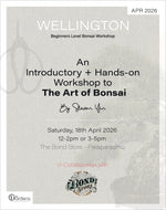 Sip & Bonsai Beginners Workshop | 18th Apr 2026