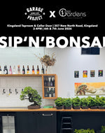 CRAFT BEER & BONSAI Beginners Workshop | 6th&7th Jun 2026 - MiniGardens Bonsai New Zealand