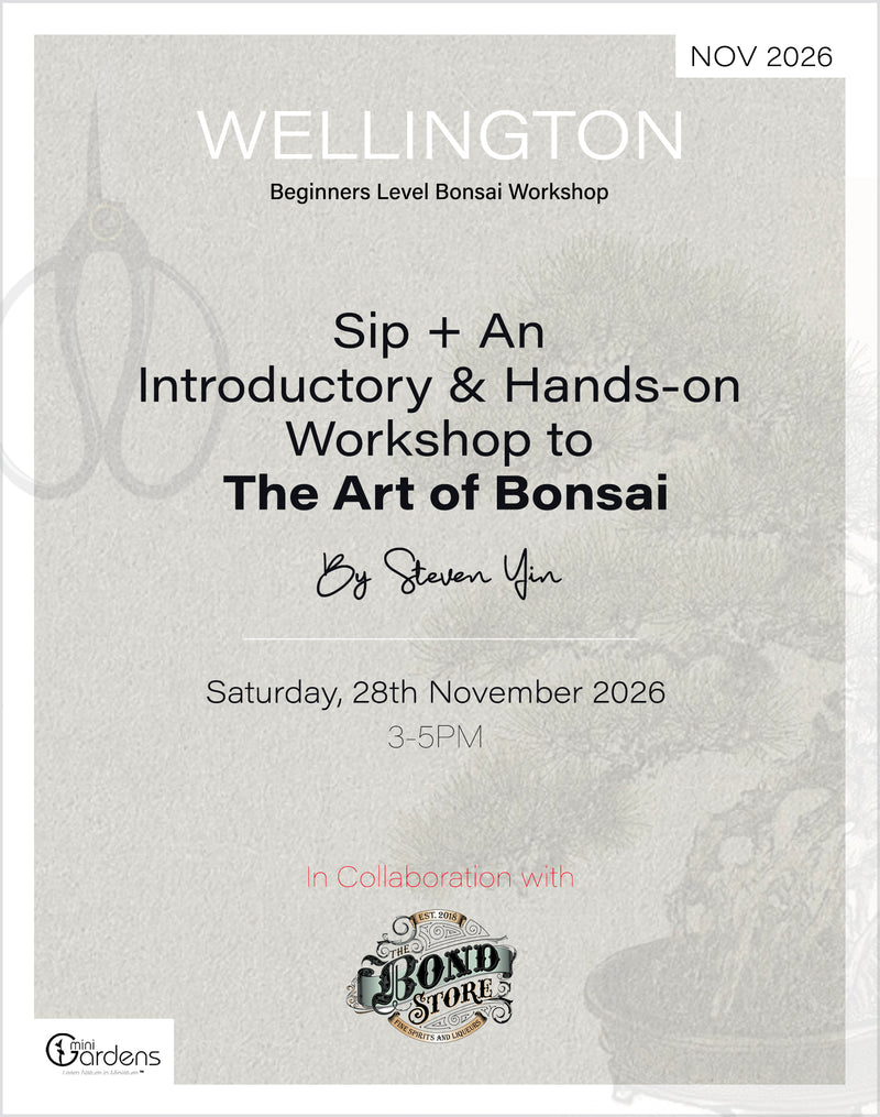 Sip & Bonsai Beginners Workshop | 28th Nov 2026