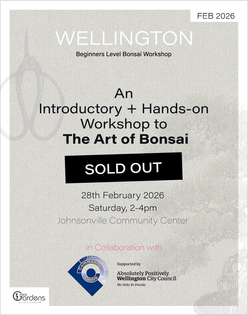 Beginners Bonsai Workshop | 28th February 2026