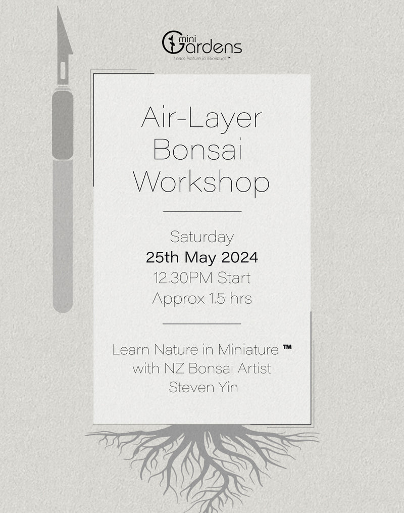 Air-Layering Bonsai Workshop | 25th May 2024 (12.30PM)