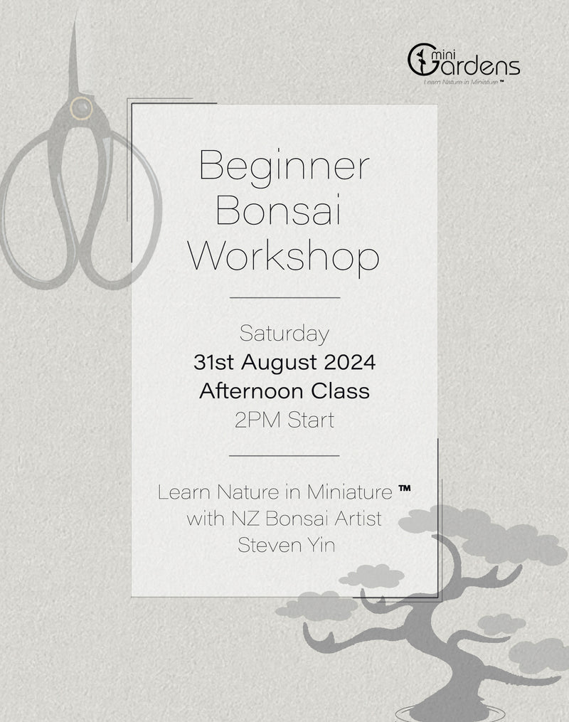 Beginners Bonsai Workshop | 31st August 2024 (Afternoon Class)