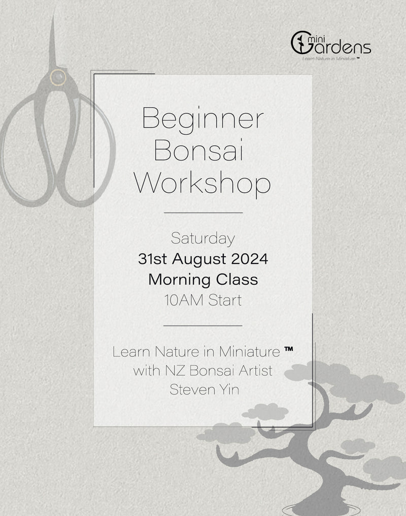 Beginners Bonsai Workshop | 31st August 2024 (Morning Class)